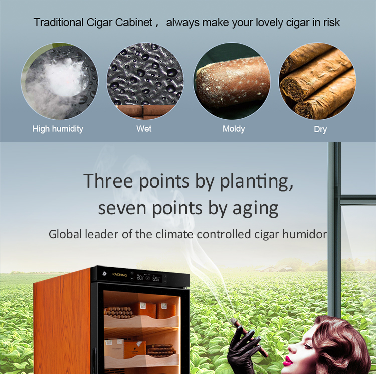 Raching C-Series C150A Humidor