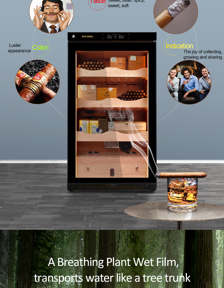 Raching C-Series C150A Humidor