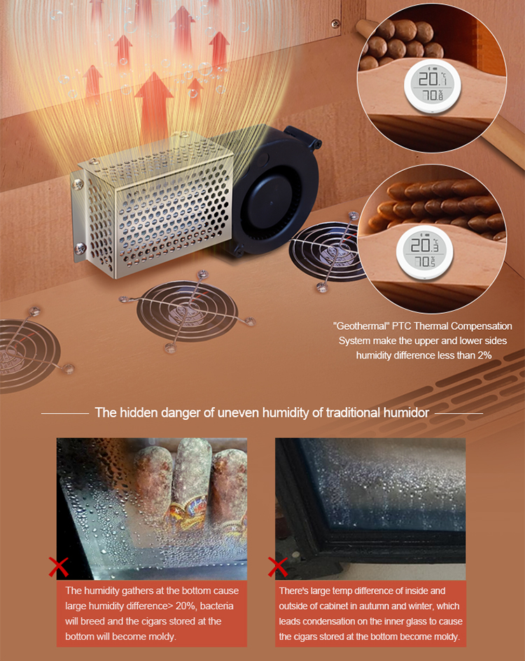 Raching C-Series C150A Humidor