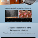 Raching C-Series C150A Humidor