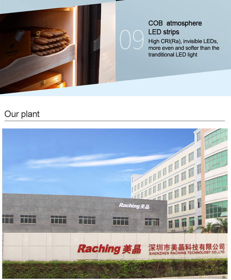 Raching C-Series C150A Humidor