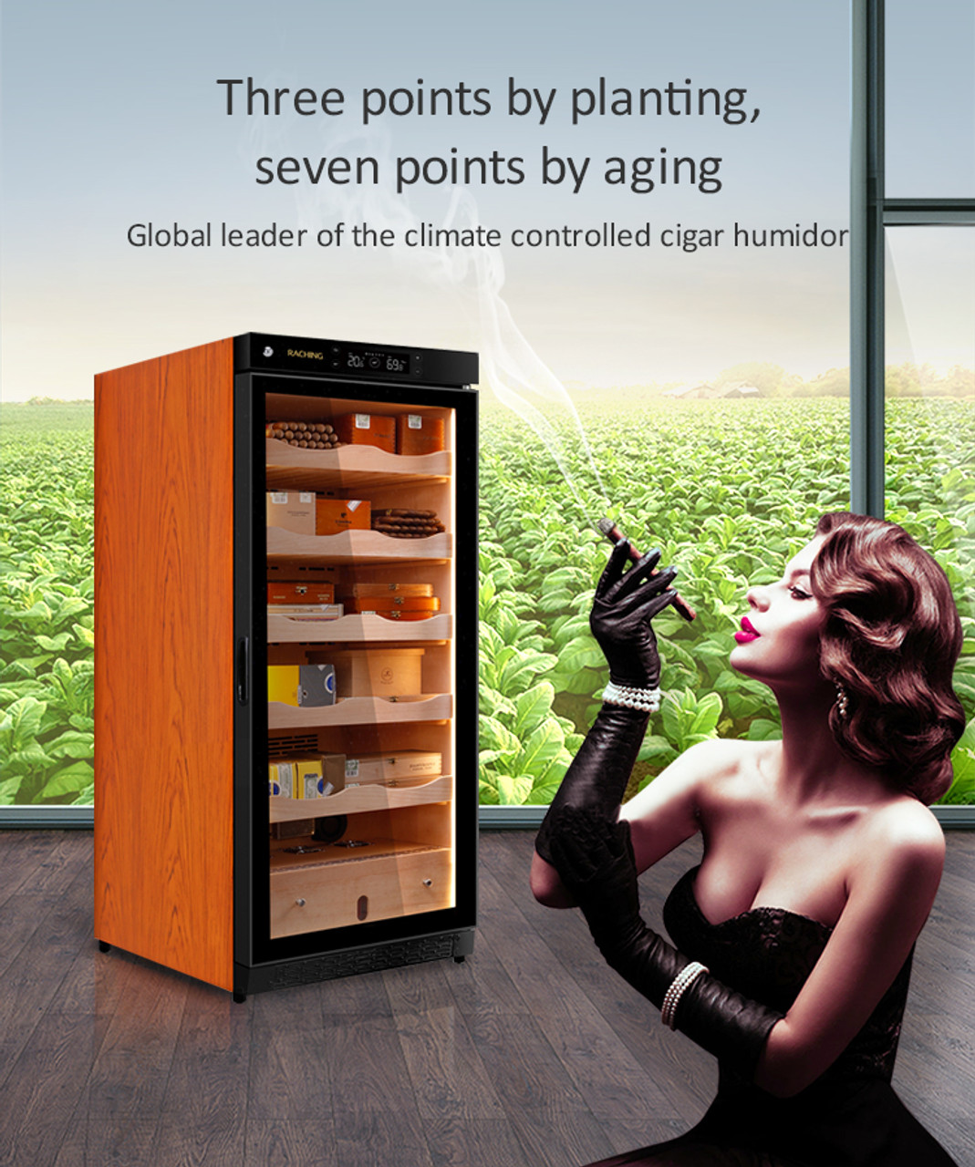 Raching C-Series C230A Humidor