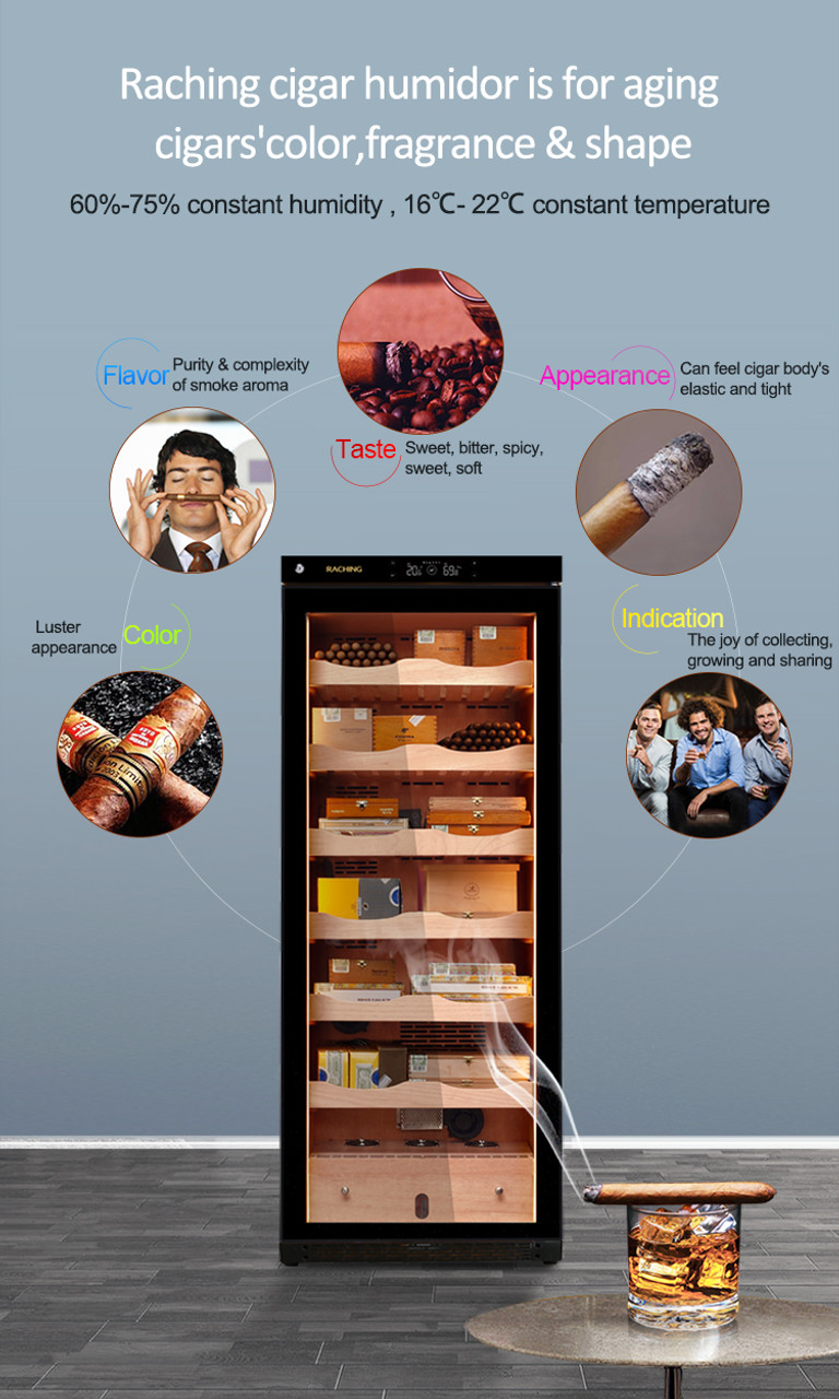 Raching C-Series C330A Humidor