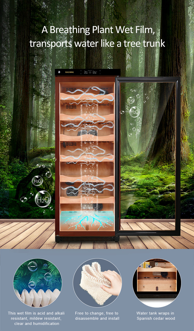 Raching C-Series C330A Humidor