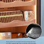 Raching C-Series C380A Humidor
