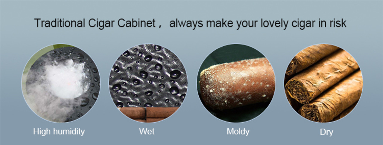 Raching C-Series C380A Humidor