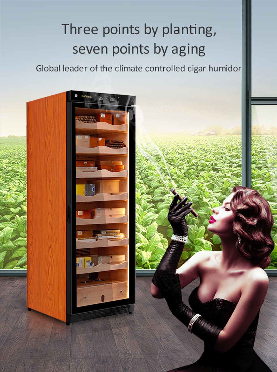 Raching C-Series C380A Humidor