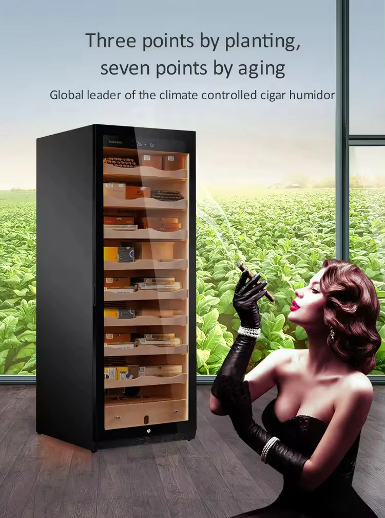 Raching C-Series C600A Humidor