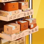 Raching C-Series COH300A Humidor