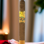 New World Dorado Robusto BP